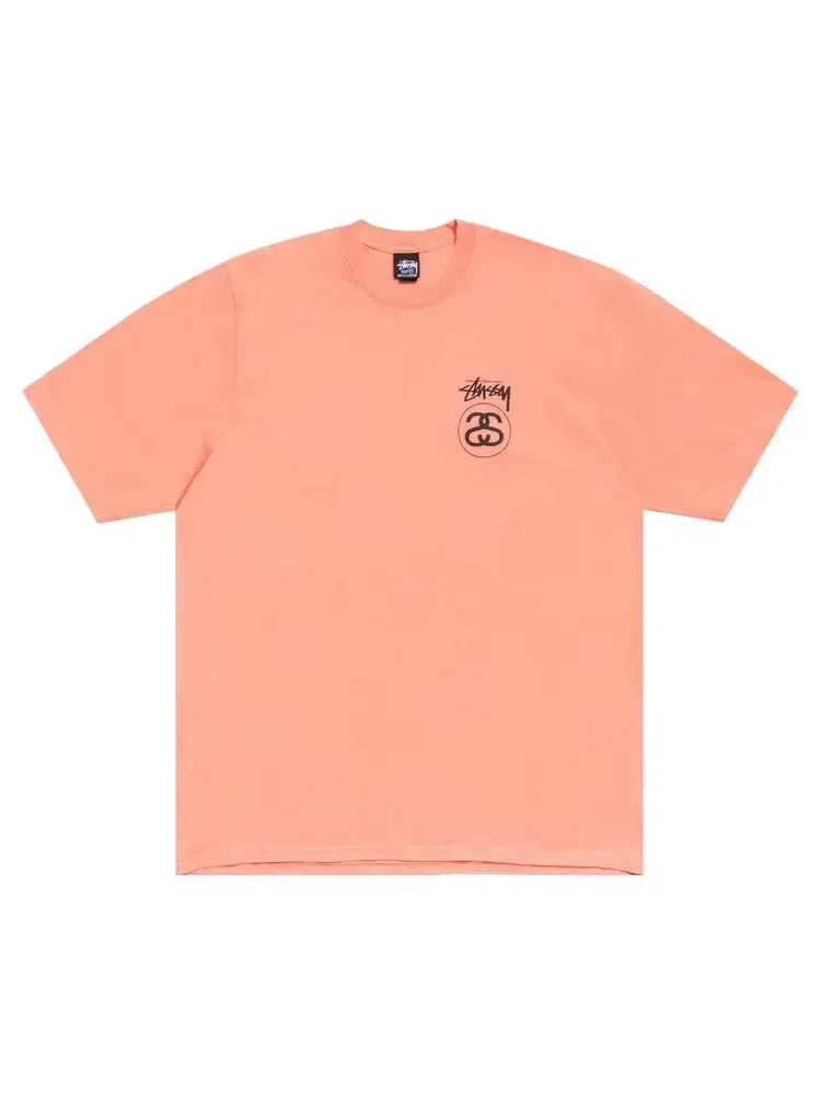 Футболка Stussy Stock Link Pigment Dyed Tee — изображение 1 из 2, мульти