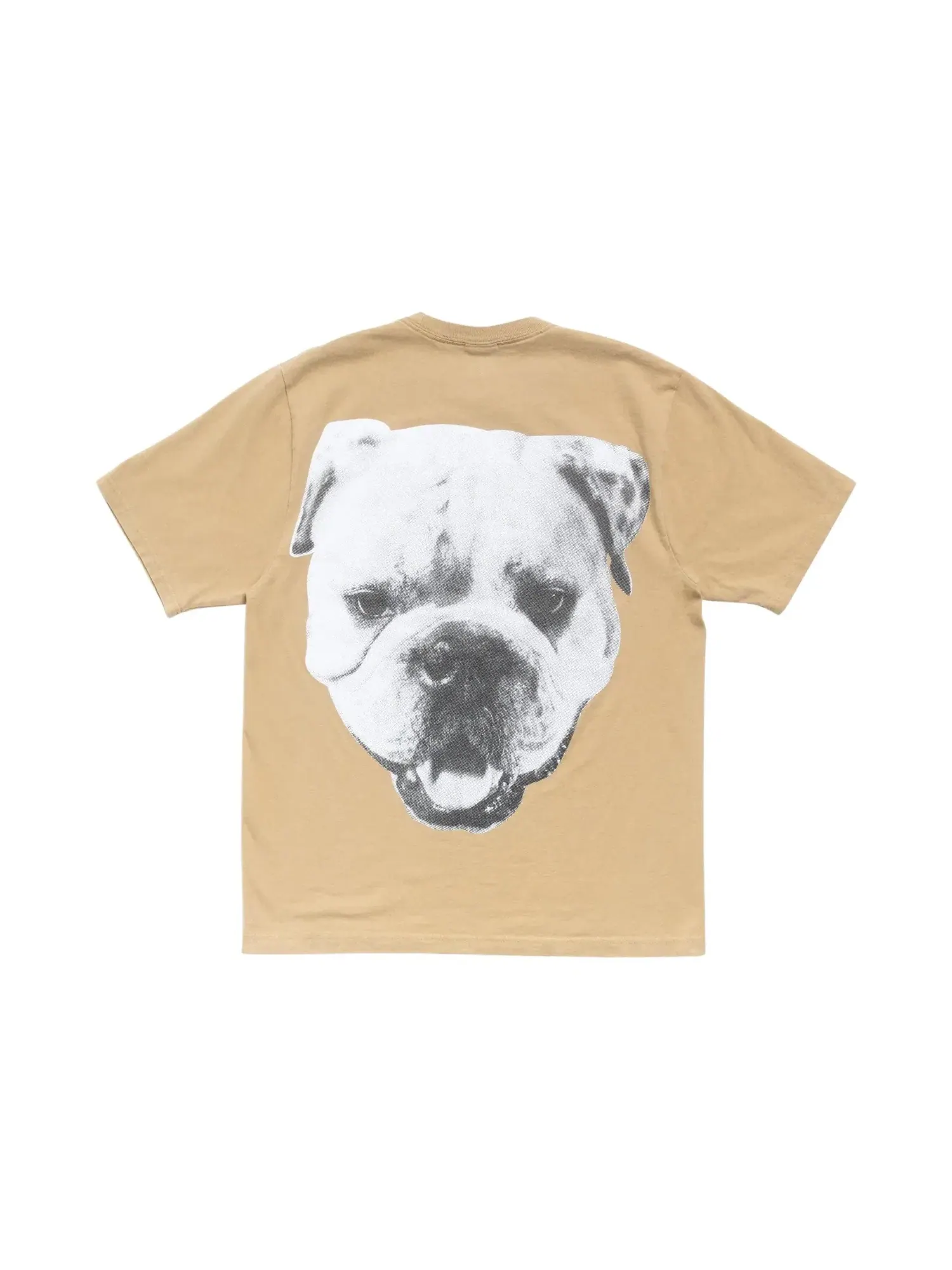 Футболка Stussy Big Dog Stone Washed Tee — изображение 2 из 2, хаки