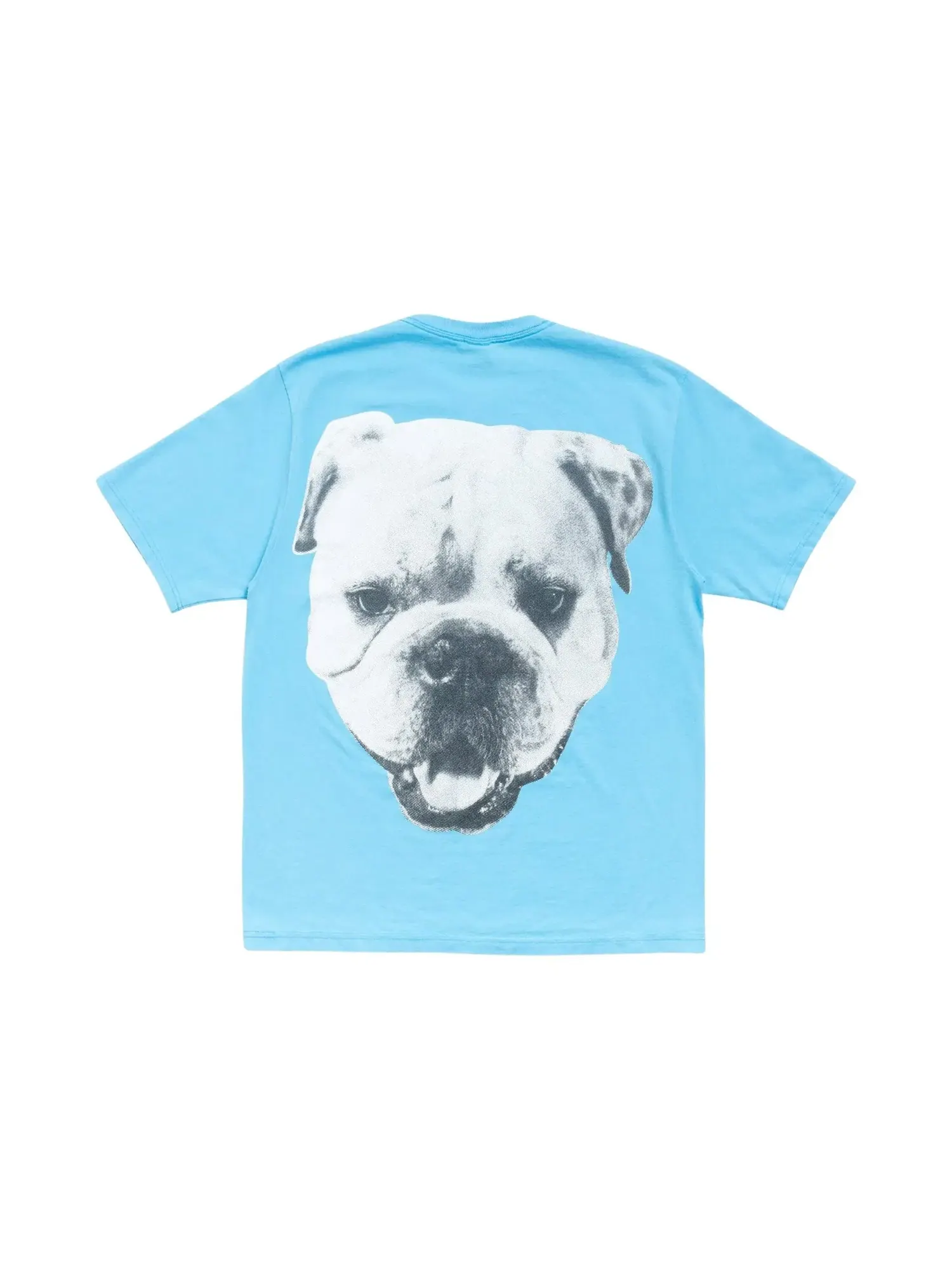 Футболка Stussy Big Dog Stone Washed Tee — изображение 2 из 2, синий
