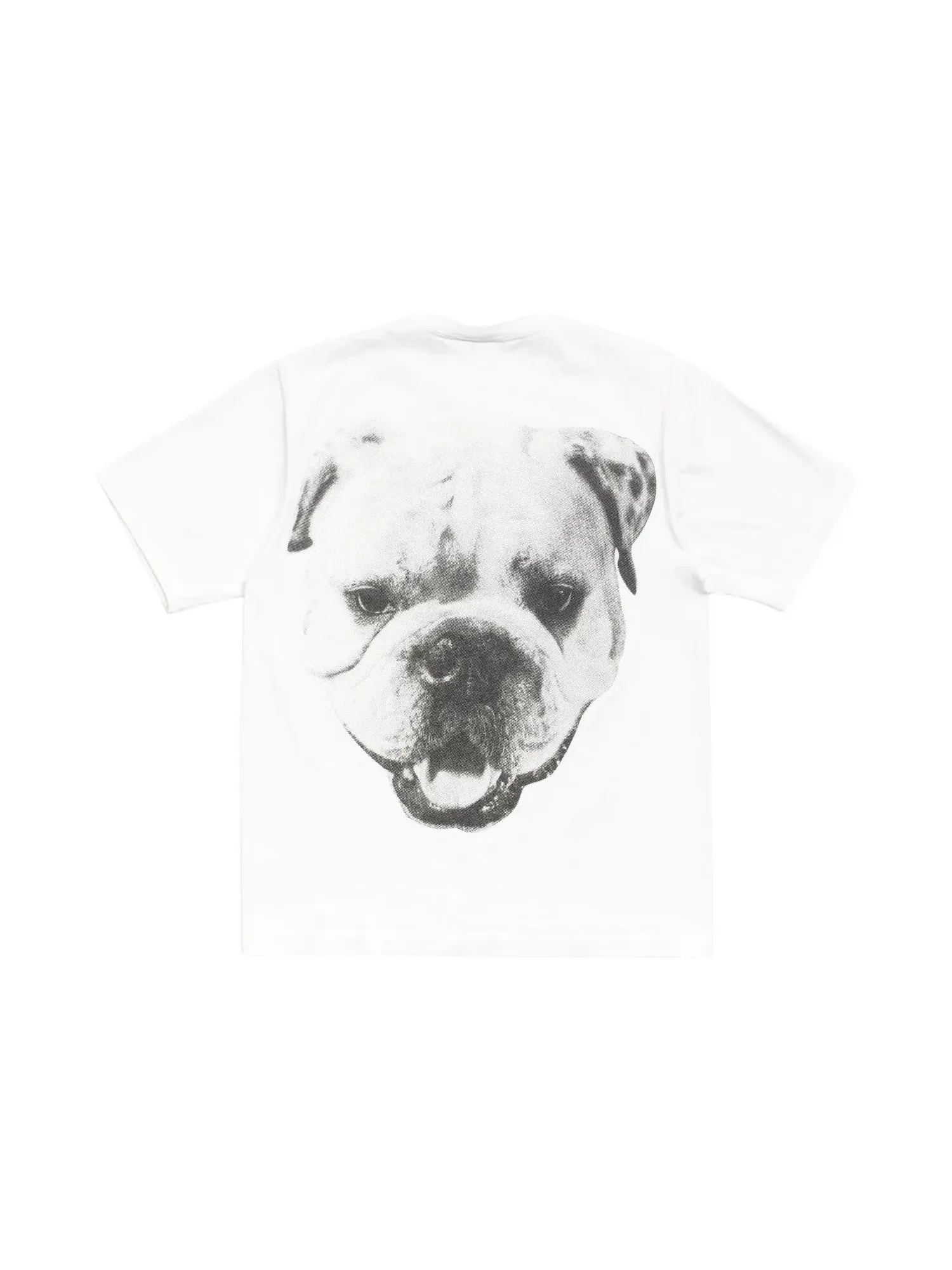 Футболка Stussy Big Dog Stone Washed Tee — изображение 2 из 2, белый