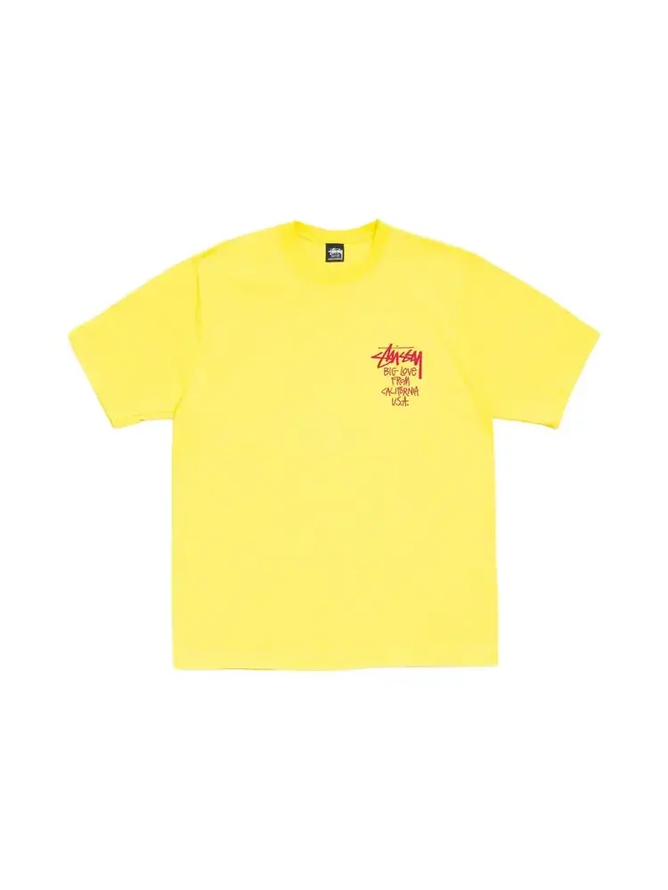 Футболка Stussy Big Love