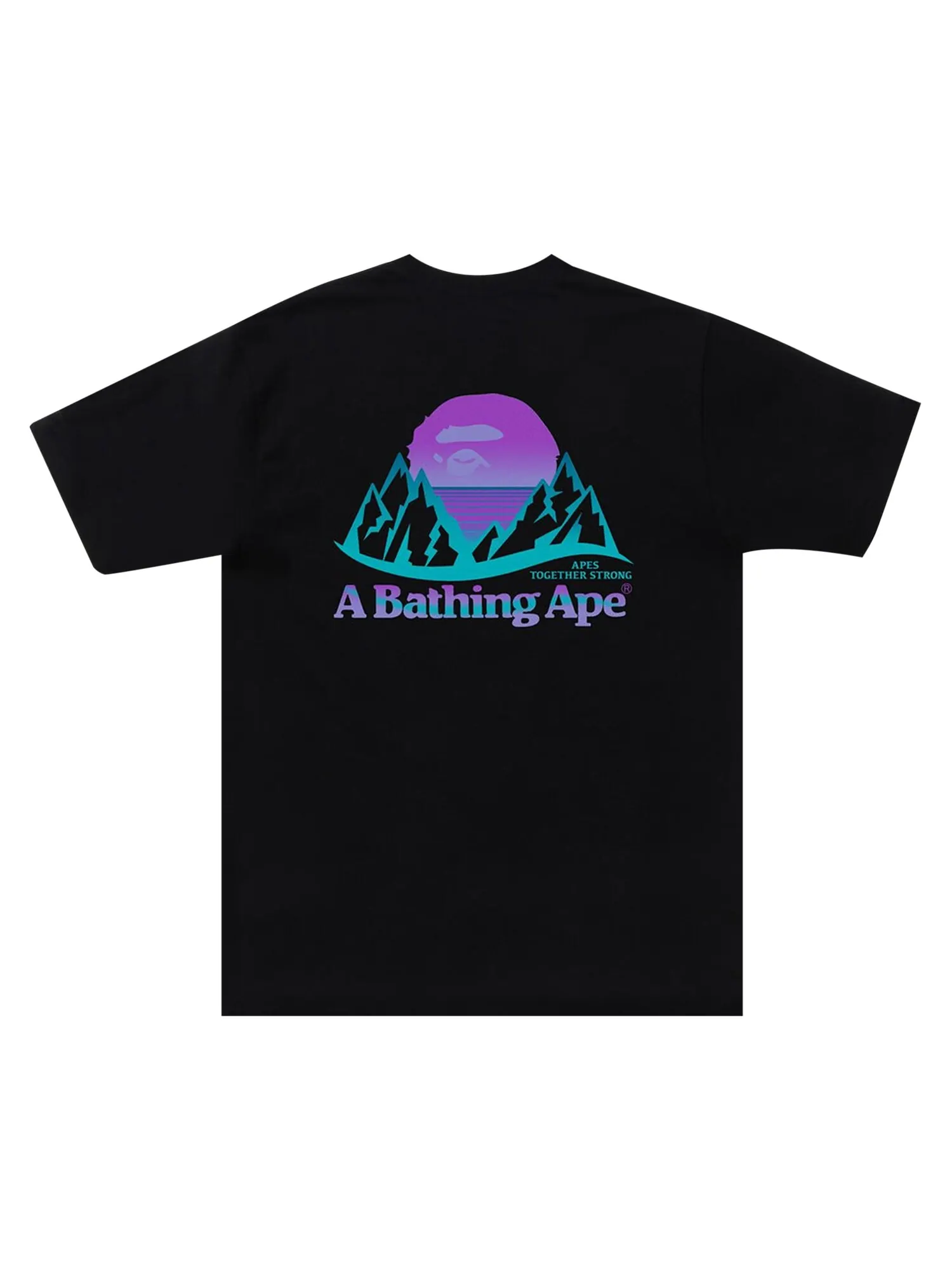 Футболка BAPE Mountain — изображение 2 из 2, черный