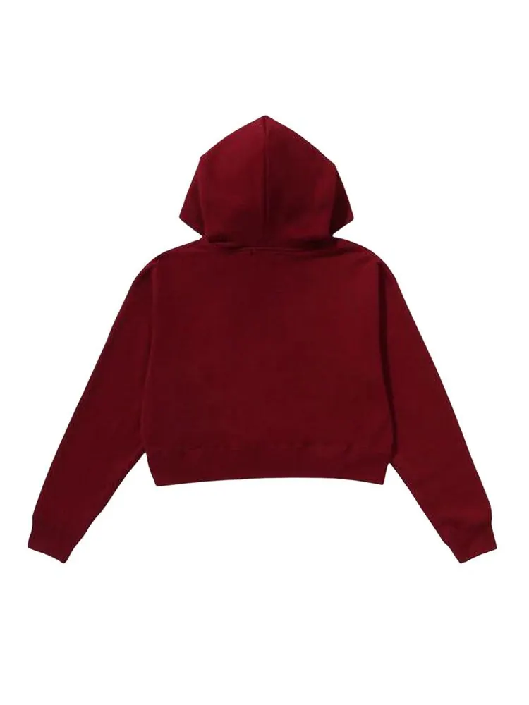 Худи BAPE Pigment Dyed One Point Cropped Zip Hoodie — изображение 2 из 2, бордовый