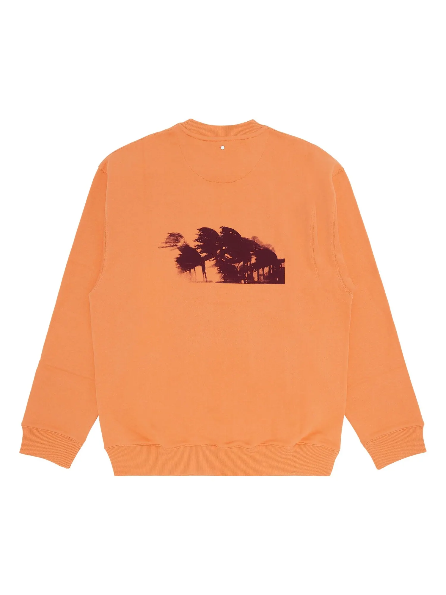 OAMC Palms Crewneck — изображение 2 из 3, коричневый