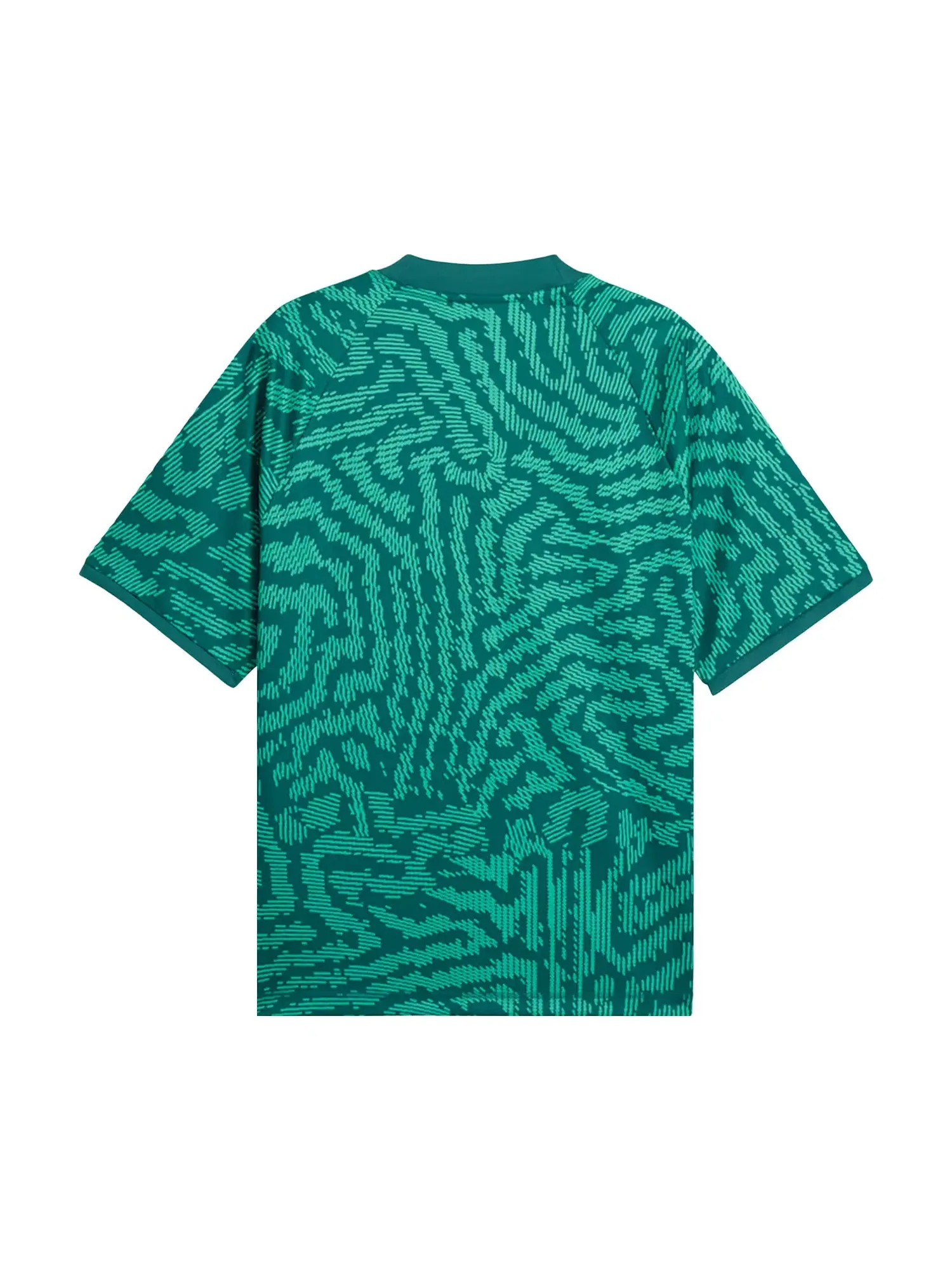 Футболка Puma x FPF x Salehe Bembury King Jersey — изображение 2 из 2, зеленый