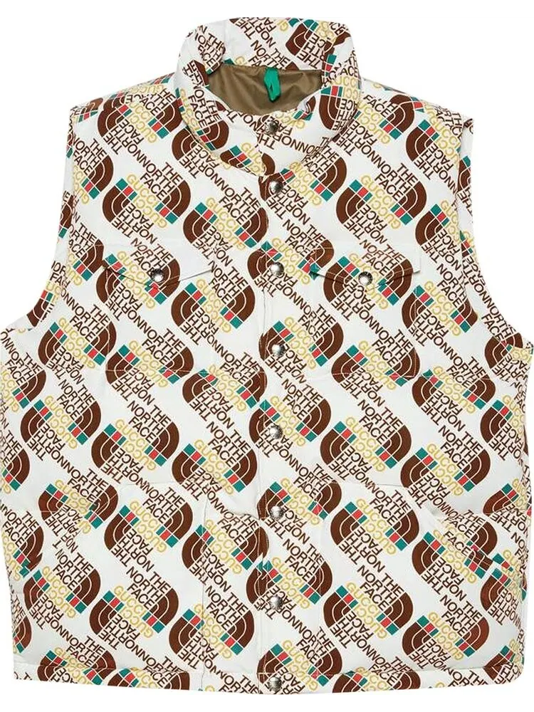 Жилет The North Face x Gucci Down Vest 'Ivory/Brown' — изображение 1 из 1, коричневый
