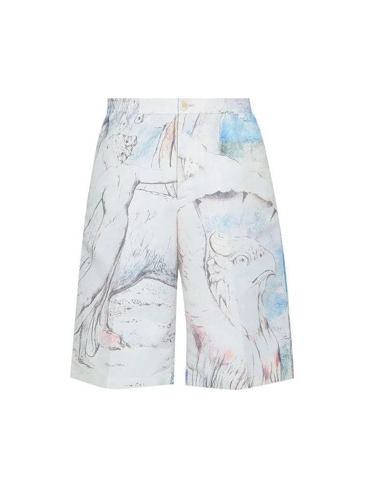 Шорты Alexander McQueen William Blake Dante Shorts — изображение 1 из 1, слоновая кость/мульти