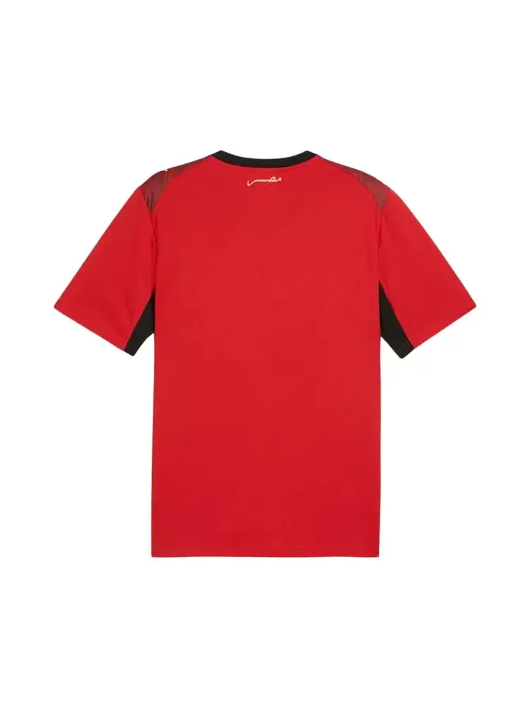 Игровая футболка Puma Egypt 2026 Home Kit — изображение 2 из 2, красный