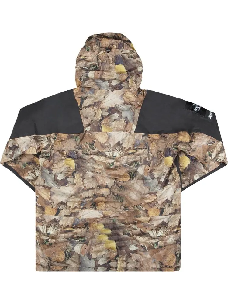 Куртка Supreme x The North Face Mountain Light Jacket 'Leaves' — изображение 2 из 4, коричневый