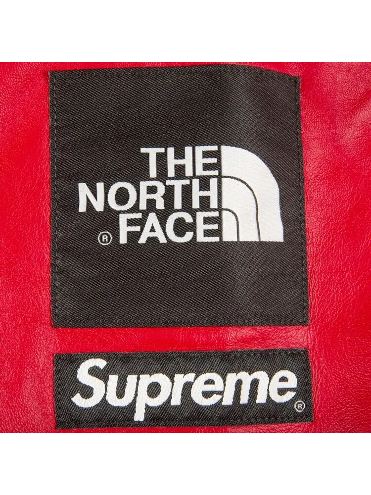 Парка Supreme x The North Face Leather Mountain Parka 'Red' — изображение 2 из 2, красный