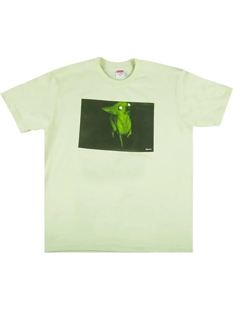 Футболка Supreme Chris Cunningham Chihuahua Tee 'Pale Mint' — изображение 1 из 1, зеленый