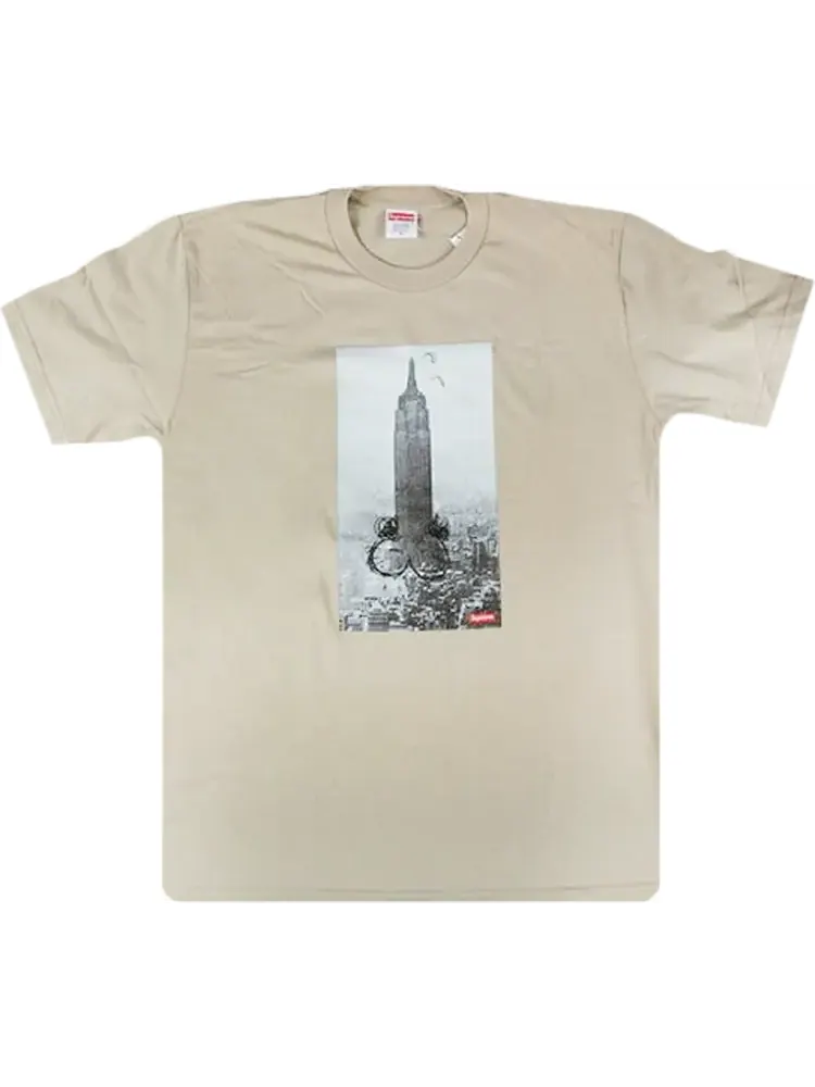 Футболка Supreme Mike Kelley The Empire State Building T-Shirt 'Clay' — изображение 1 из 1, коричневый