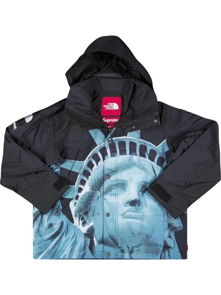 Куртка Supreme x The North Face Statue Of Liberty Mountain Jacket 'Black' — изображение 1 из 3, черный