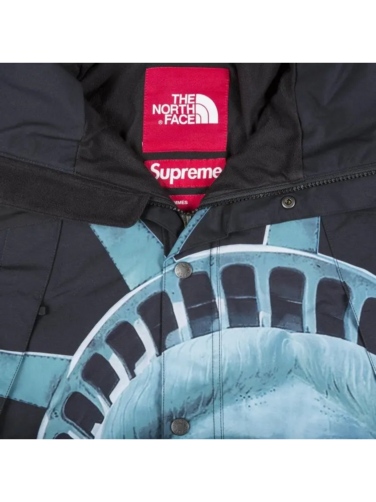 Куртка Supreme x The North Face Statue Of Liberty Mountain Jacket 'Black' — изображение 3 из 3, черный