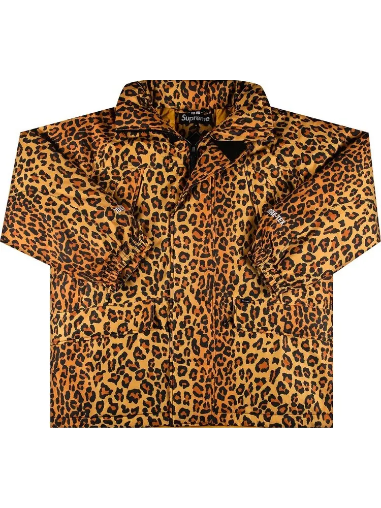 Парка Supreme GORE-TEX 700-Fill Down Parka 'Leopard' — изображение 1 из 3, коричневый