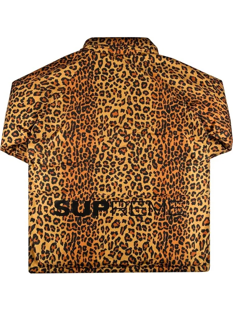 Парка Supreme GORE-TEX 700-Fill Down Parka 'Leopard' — изображение 2 из 3, коричневый
