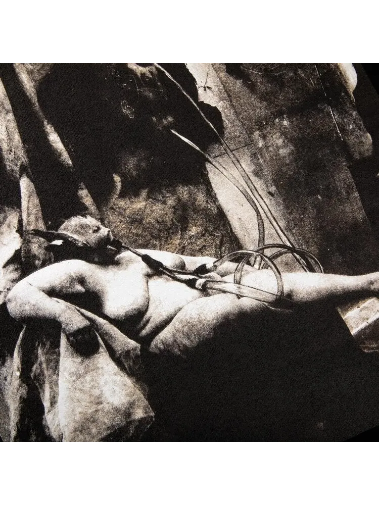 Толстовка Supreme x Joel-Peter Witkin Sanitarium Hooded Sweatshirt 'Black' — изображение 3 из 3, черный
