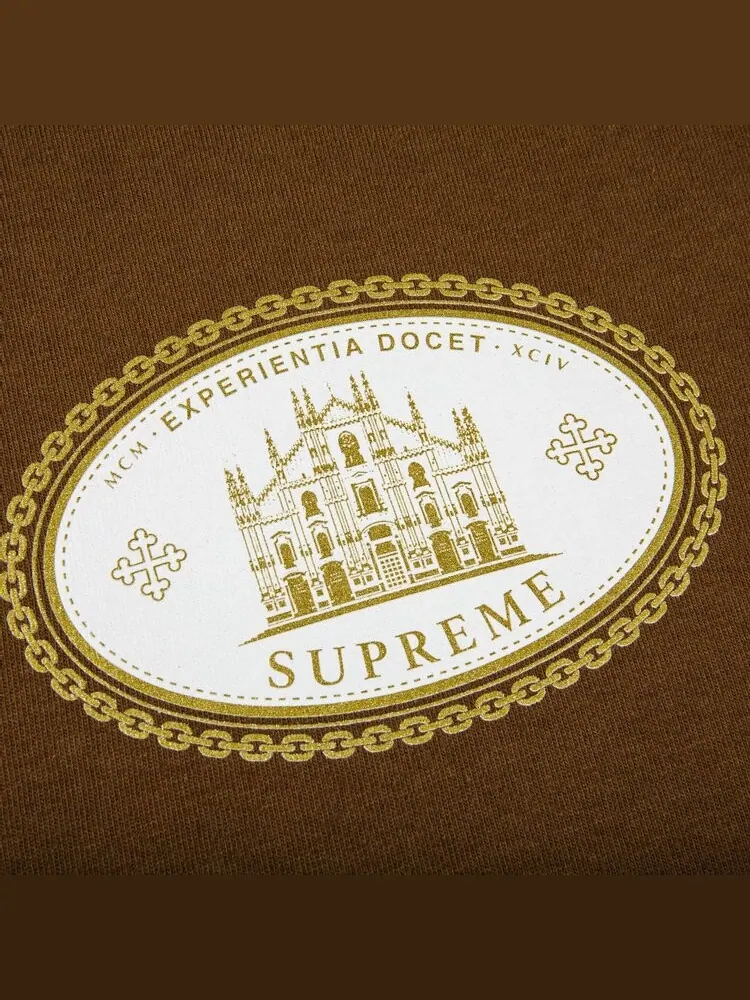 Футболка Supreme Experientia Tee 'Brown' — изображение 2 из 2, коричневый