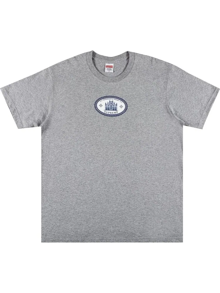 Футболка Supreme Experientia Tee 'Heather Grey' — изображение 1 из 2, серый