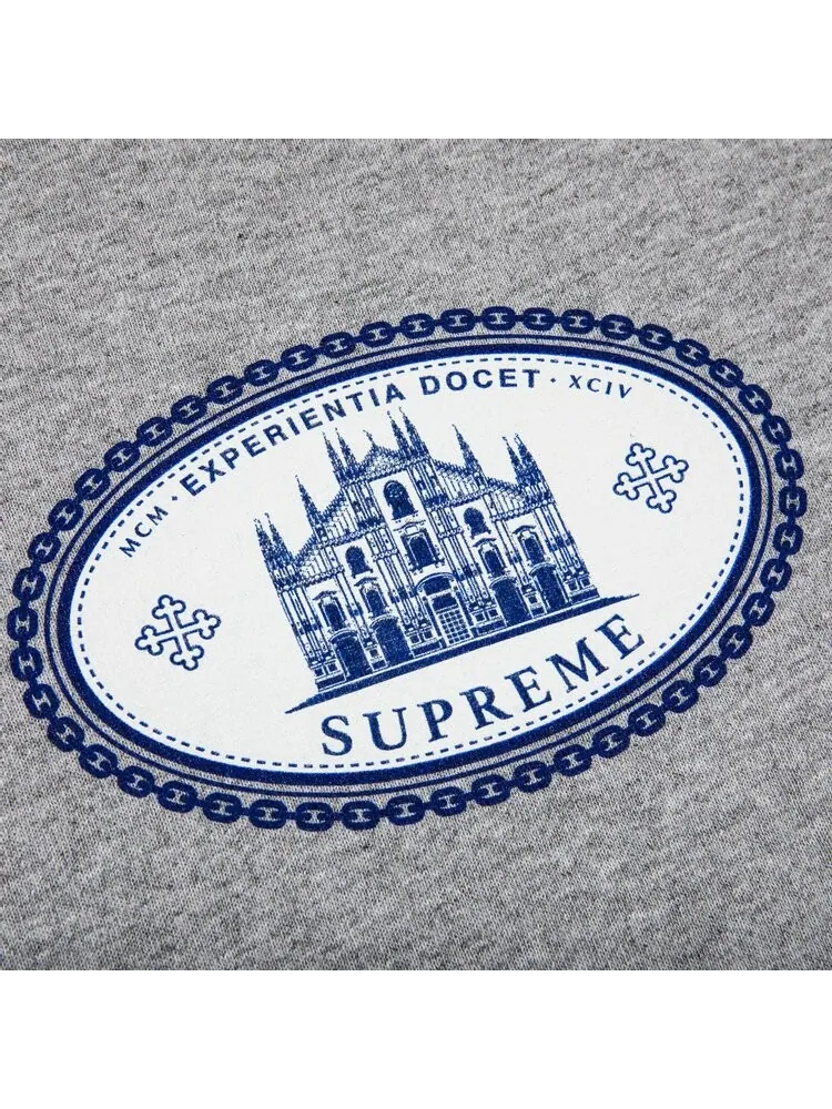 Футболка Supreme Experientia Tee 'Heather Grey' — изображение 2 из 2, серый