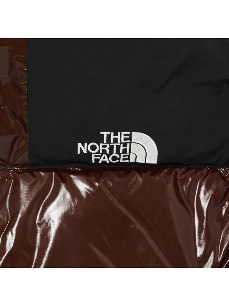Парка Supreme x The North Face 700-Fill Down Parka 'Brown' — изображение 3 из 3, коричневый