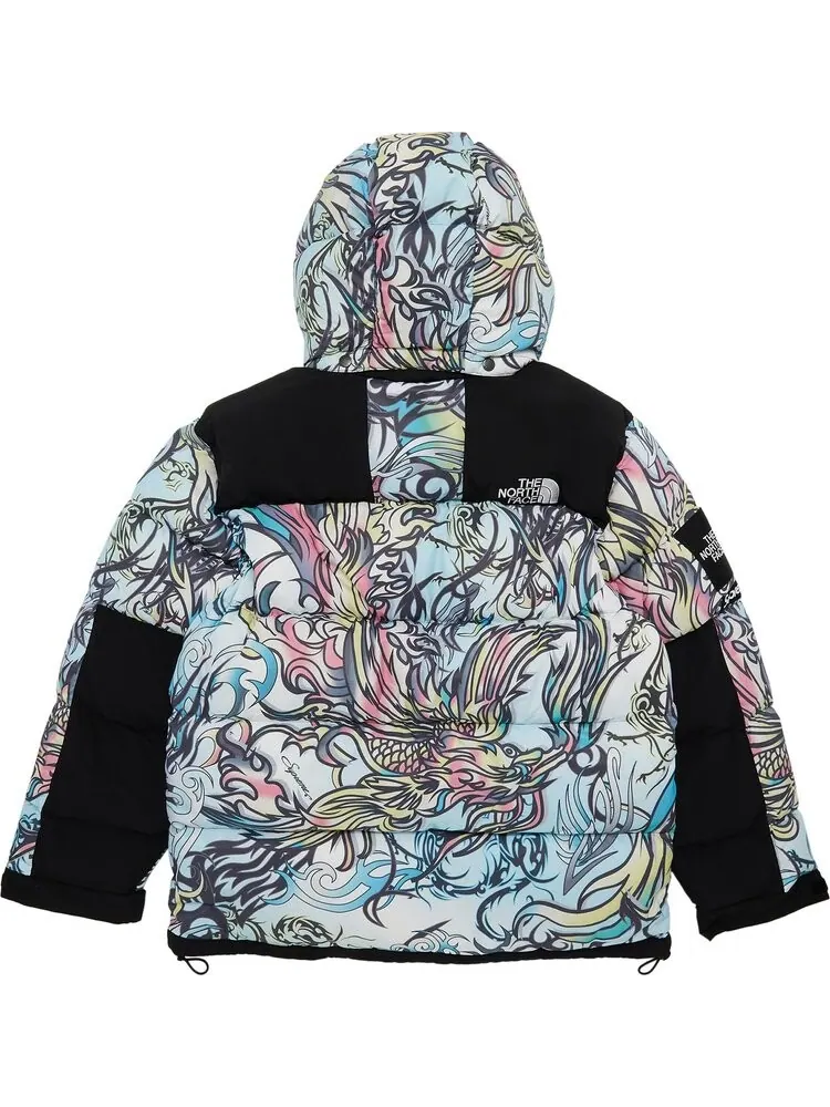 Парка Supreme x The North Face 700-Fill Down Parka 'Multicolor Dragon' — изображение 2 из 3, мульти