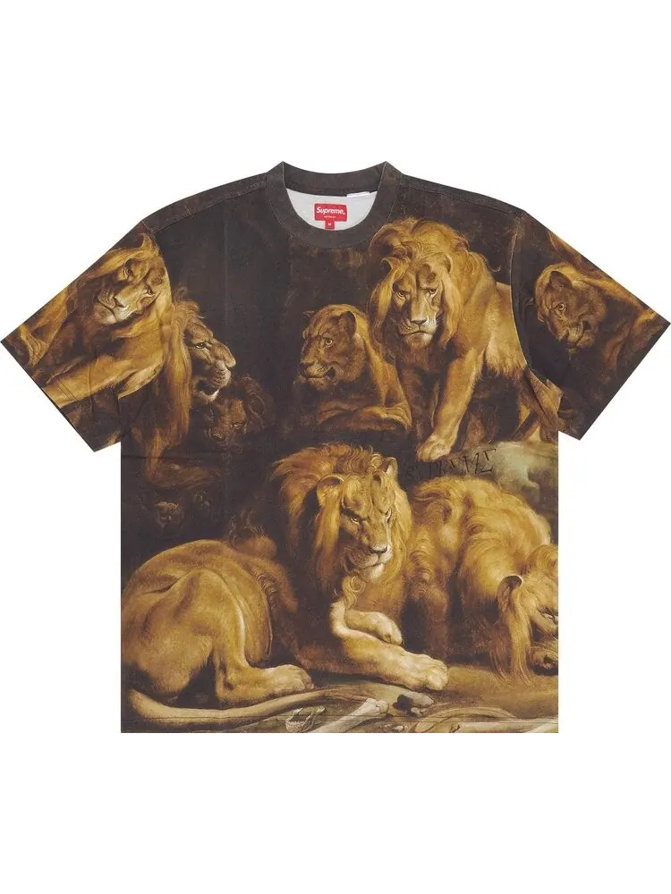 Футболка Supreme Lion's Den Short-Sleeve Top 'Multicolor' — изображение 1 из 3, мульти