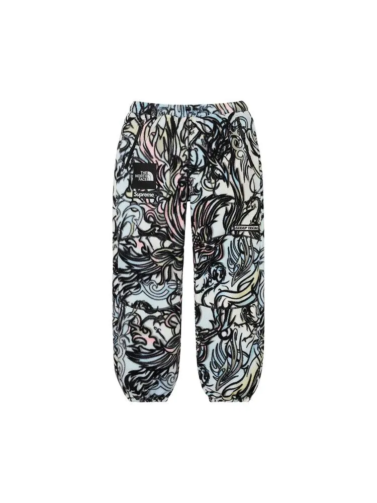 Брюки Supreme x The North Face Steep Tech Pant — изображение 1 из 2, мульти