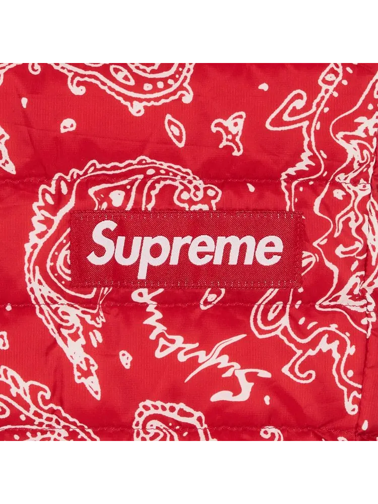 Брюки Supreme Micro Down Pant — изображение 3 из 3, красный