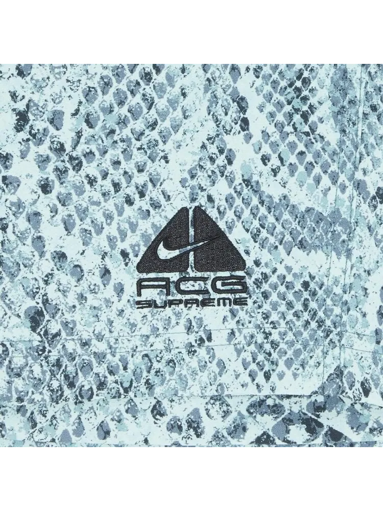 Шорты Supreme x Nike ACG Nylon Trail Short 'Mint Snakeskin' — изображение 3 из 3, синий