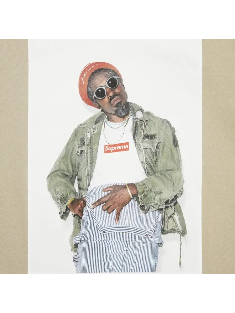 Футболка Supreme André 3000 Tee 'Stone' — изображение 3 из 3, загар