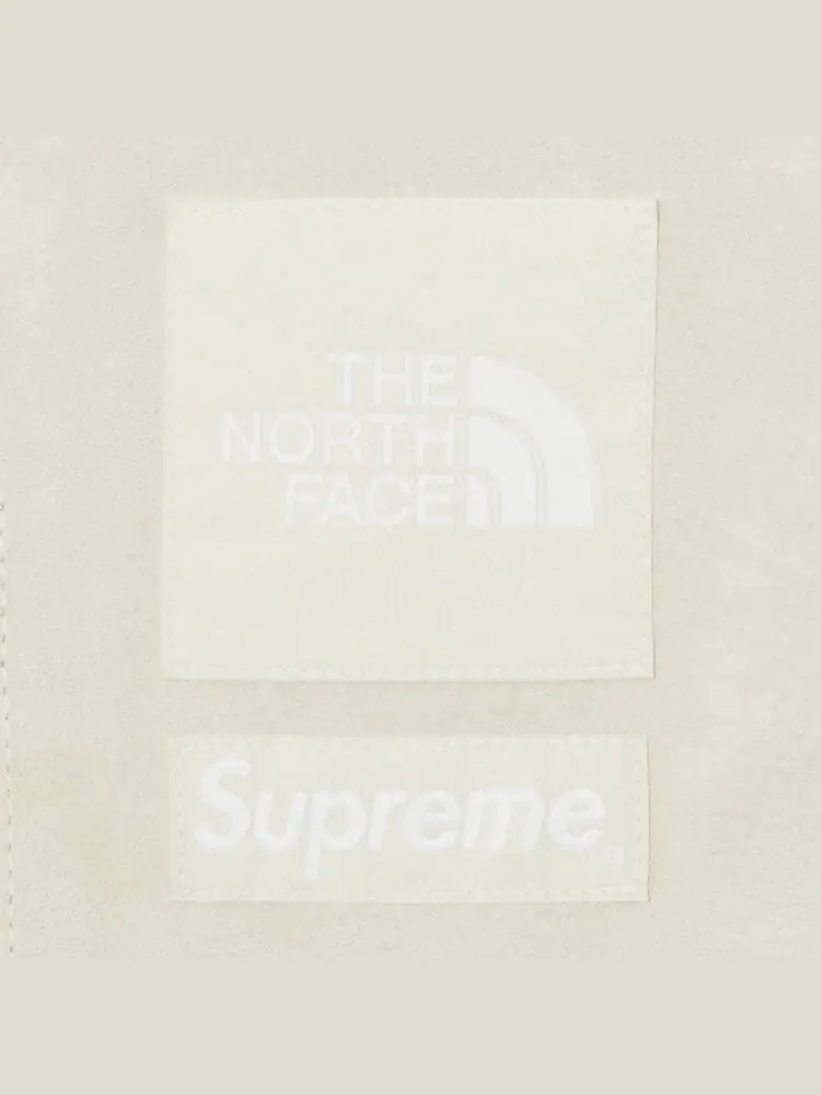 Брюки Supreme x The North Face Suede Mountain Pant — изображение 3 из 3, бежевый