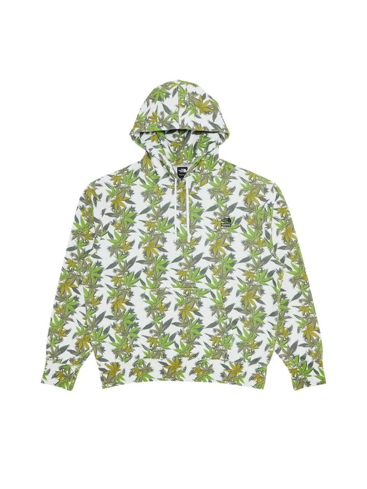 Толстовка Supreme x The North Face Leaf Hooded 'White' — изображение 1 из 3, белый
