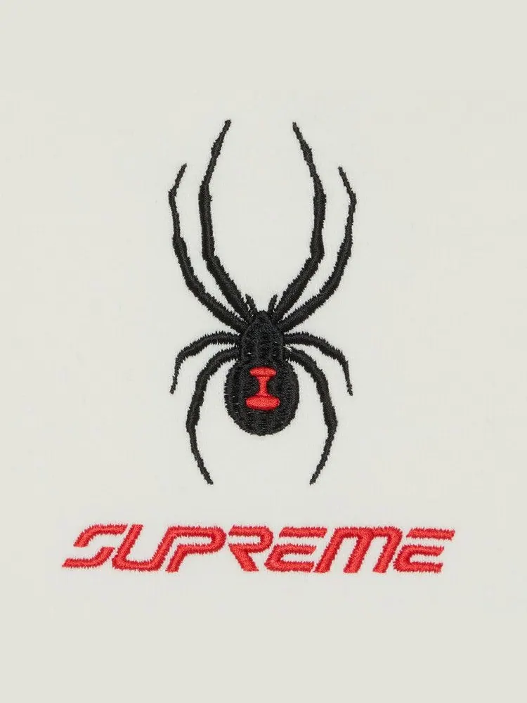 Спортивные брюки Supreme x Spyder Sweatpant — изображение 3 из 3, белый