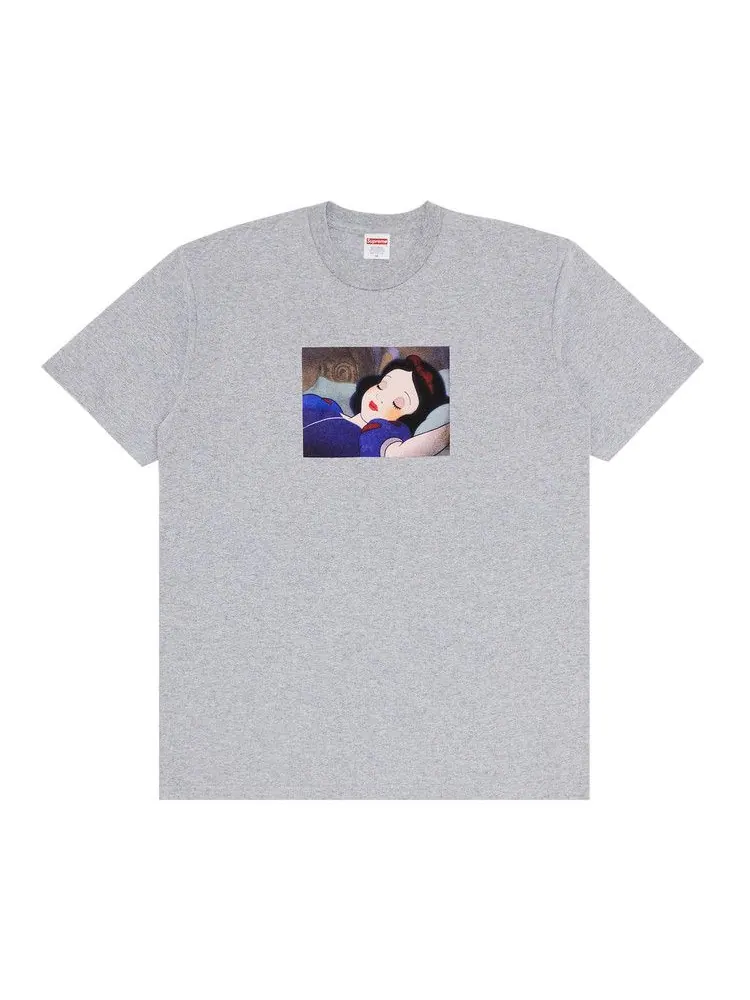 Футболка Supreme Snow White Tee — изображение 1 из 3, серый