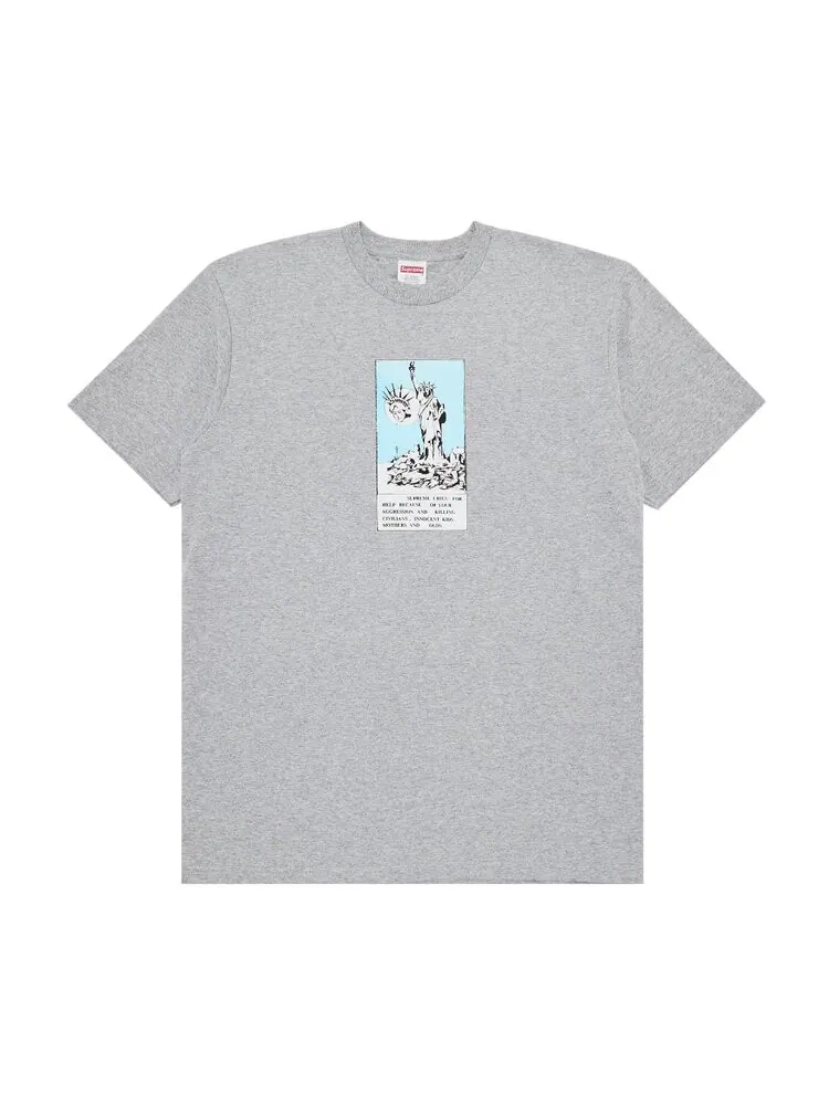 Футболка Supreme Liberty Tee — изображение 1 из 2, серый