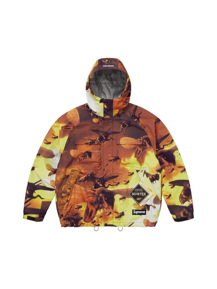 Куртка Supreme x Wu-Tang Clan GORE-TEX Shell Jacket 'Multicolor' — изображение 1 из 2, мульти