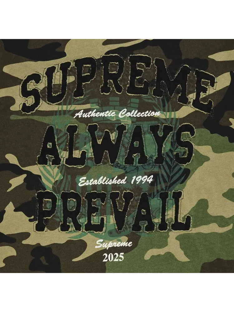 Топ Supreme Always Prevail Short-Sleeve Top, Woodland Camo — изображение 2 из 2, мульти