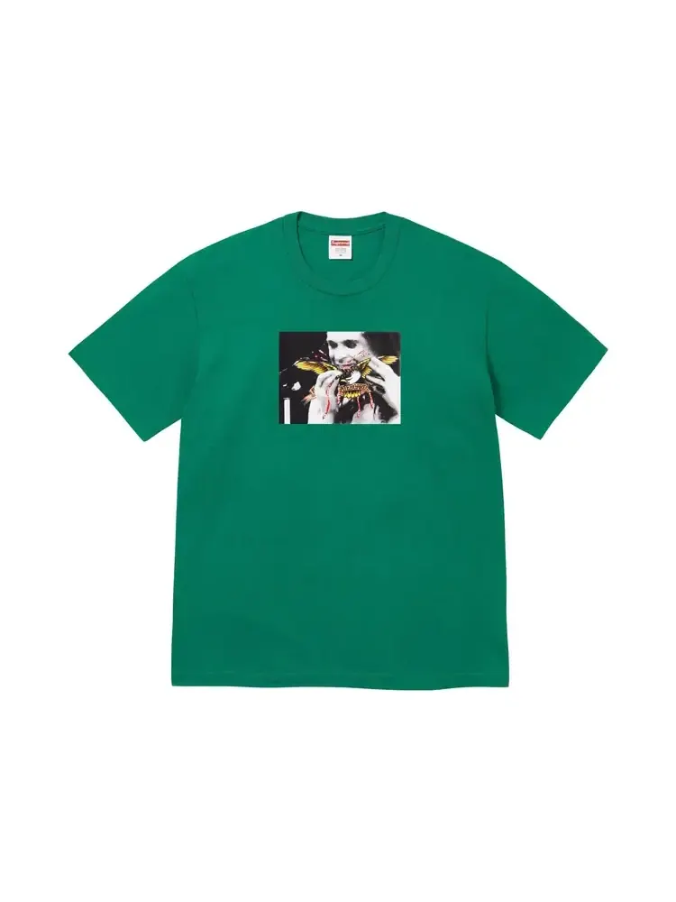 Футболка Supreme x Antihero Ozzy 'Light Pine' — изображение 1 из 2, зеленый