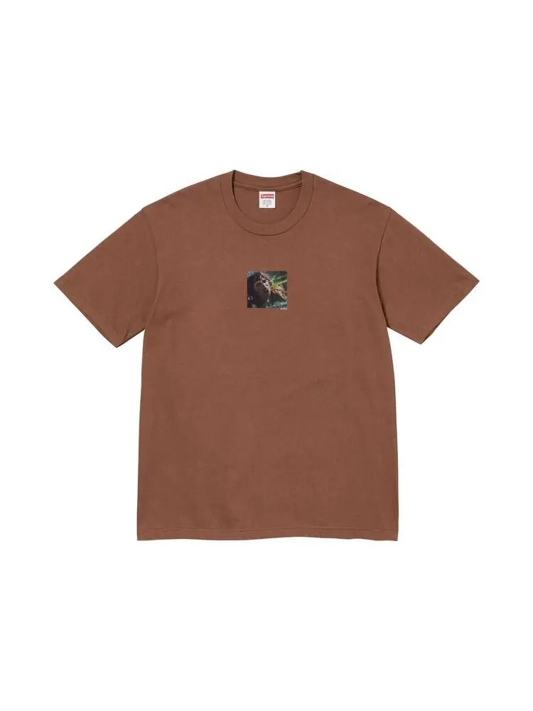 Футболка Supreme x The Exorcist Puke Tee — изображение 1 из 2, коричневый