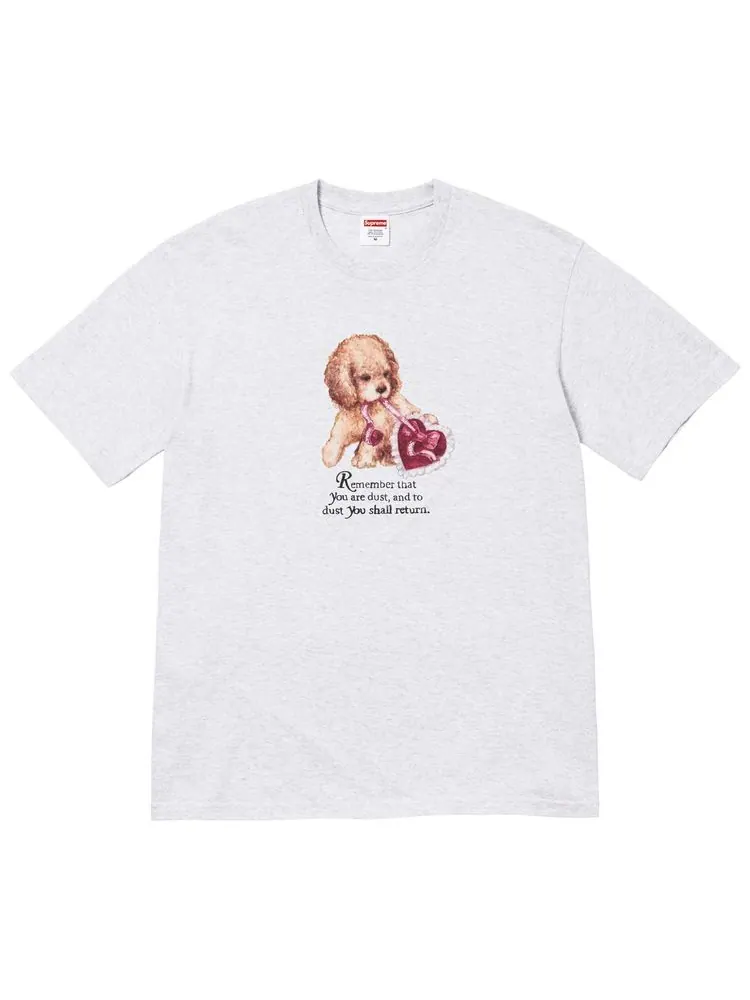 Футболка Supreme Dust Tee — изображение 1 из 1, серый
