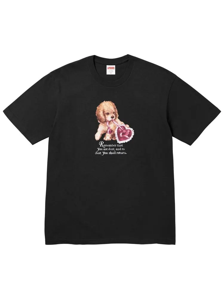 Футболка Supreme Dust Tee — изображение 1 из 1, черный