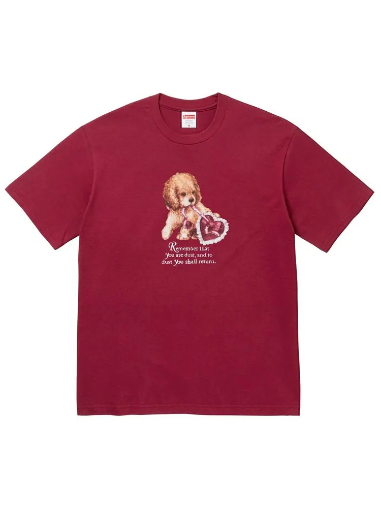 Футболка Supreme Dust Tee — изображение 1 из 1, красный