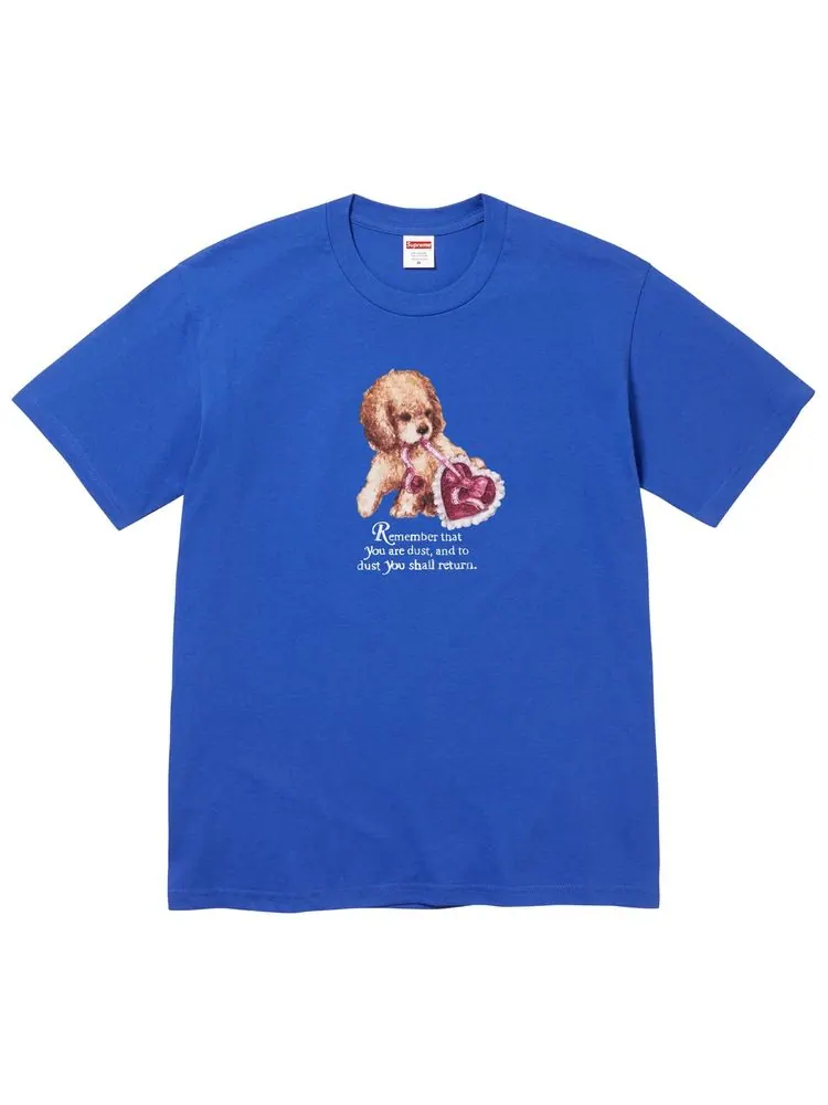 Футболка Supreme Dust Tee — изображение 1 из 1, синий