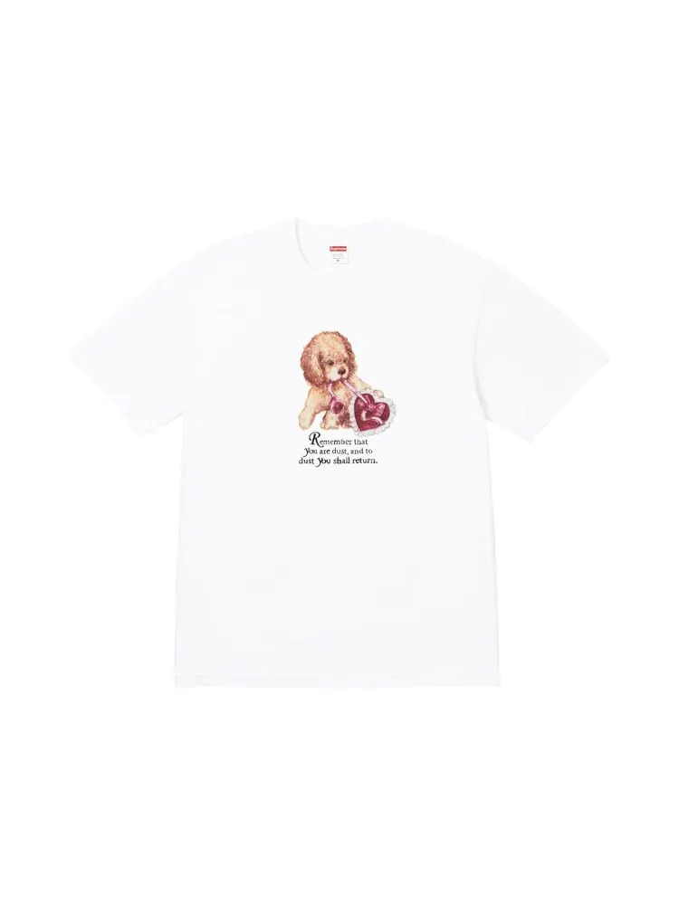 Футболка Supreme Dust Tee — изображение 1 из 1, белый