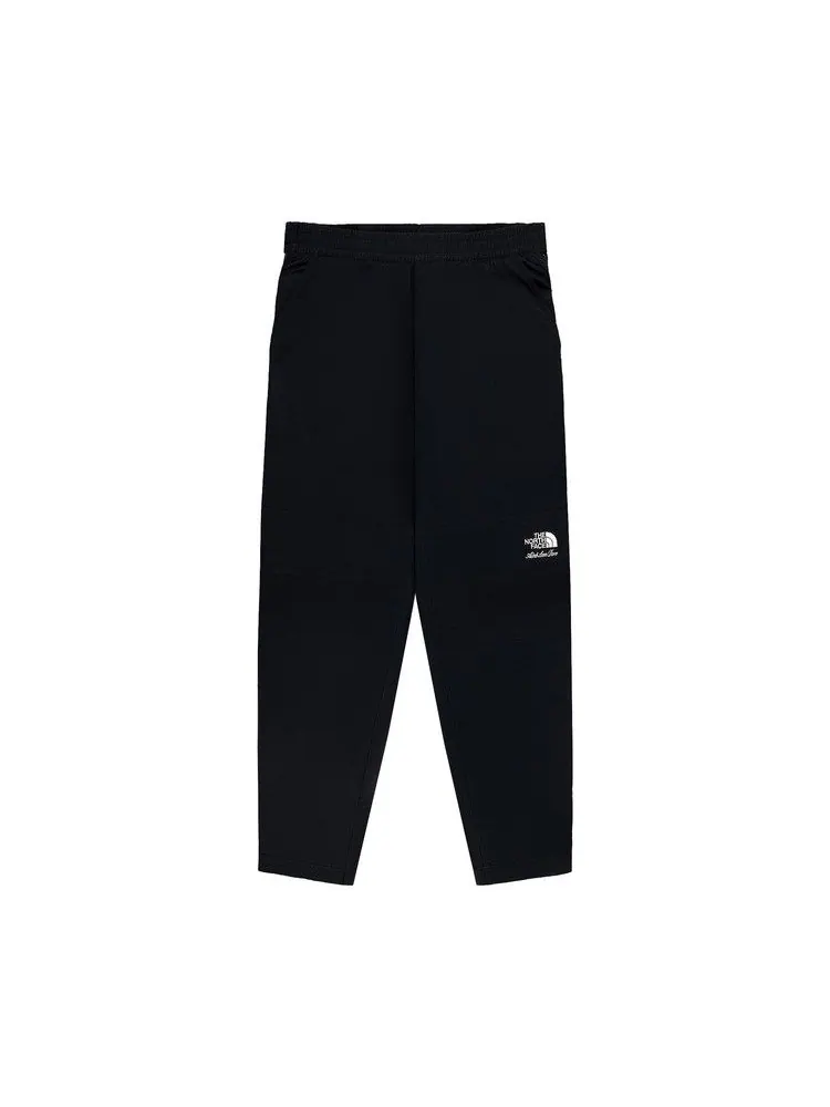 Брюки Aimé Leon Dore x The North Face Nylon Denali Pant — изображение 1 из 2, черный