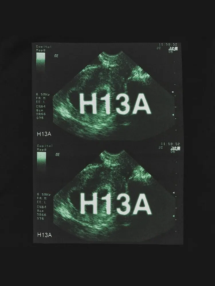 Лонгслив Hood By Air Long-Sleeve Tee 'Black' — изображение 3 из 3, черный