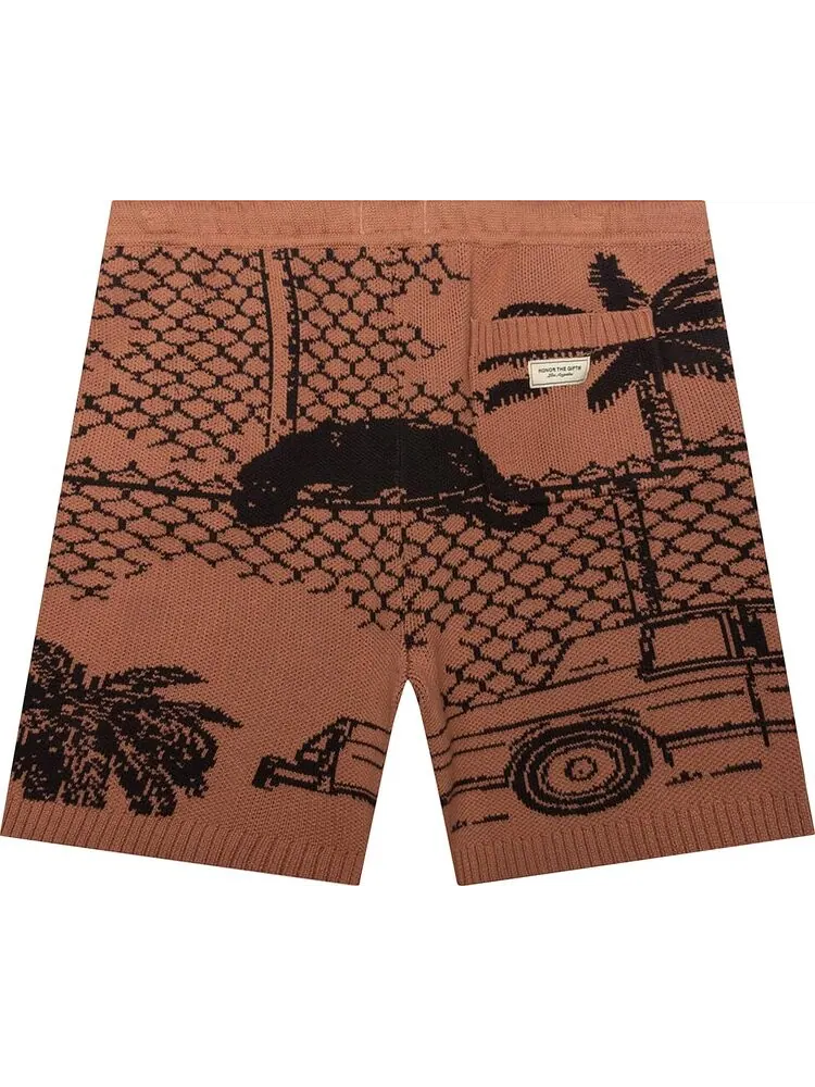 Шорты Honor The Gift Concrete Jungle Shorts 'Peach' — изображение 2 из 2, оранжевый