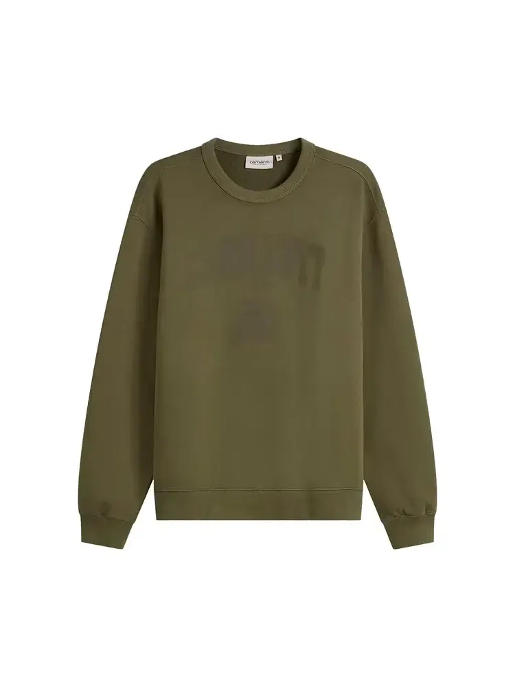 Толстовка Carhartt WIP Faded Pond Corps