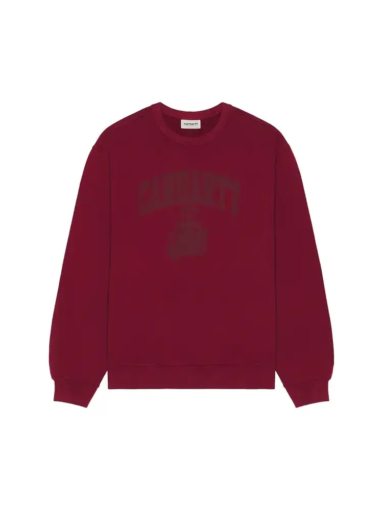 Толстовка Carhartt WIP Faded Pond Corps Crewneck Sweatshirt — изображение 1 из 1, красный